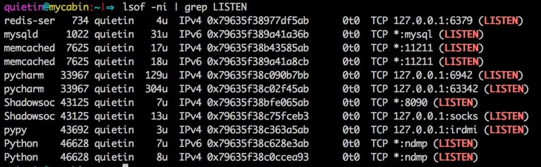 Output from lsof showing listening programs